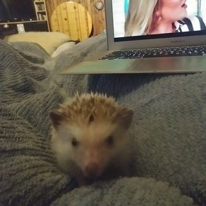 Meet your Posher, Maryann